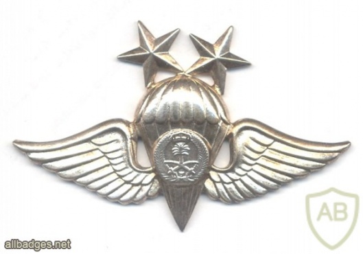 SAUDI ARABIA Army Parachute qualification wings, Class II, Silver, 1979-1980 img43349