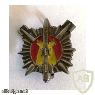 Unidentified badge- 1 img43414
