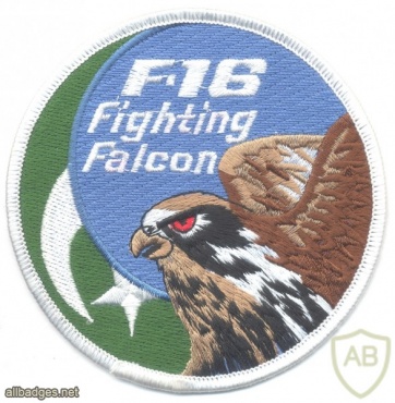 PAKISTAN - Pakistani Air Force F-16 "Fighting Falcon" pilot sleeve patch img43528