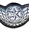 כנפי טייס משטרת ישראל img43739