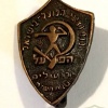כנס נציגי הפועל בישראל ירושלים- 1948