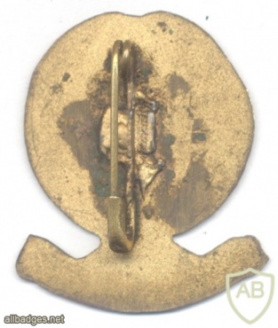 SYRIA Arab Socialist Ba'ath Party pin, 1980s img43830