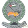 SYRIA Arab Socialist Ba'ath Party pin, 1980s