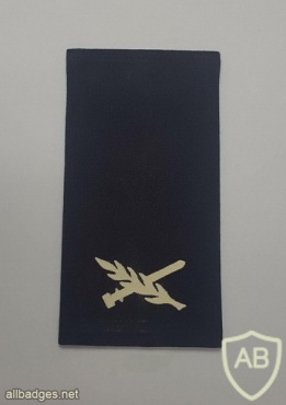 דרגת תת אלוף (תא"ל) - חיל האוויר. img43878