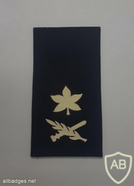 דרגת אלוף - מפקד חיל האוויר. img43879