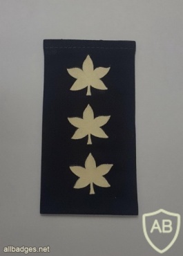 דרגת אלוף משנה (אל"מ) - חיל האוויר. img43880