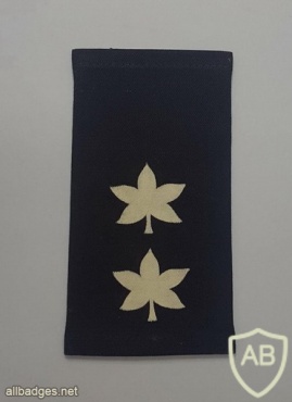 דרגת סגן אלוף (סא"ל) - חיל האוויר. img43876