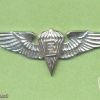 GUATAMALA Army Basic Parachute Rigger wings