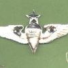 GUATAMALA Army Senior Parachute Rigger wings img43951