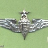 GUATAMALA Army Senior Parachute Rigger wings img43950
