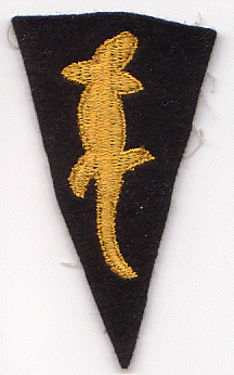 Women’s Reserve Camouflage Corps patch, WWI img44004