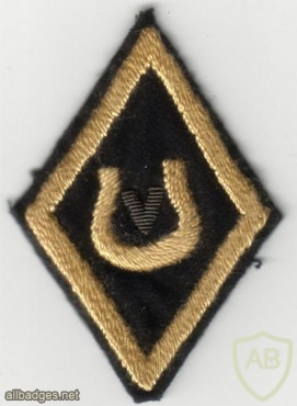 US Army Veterinary Corps unit patch, WWI img44068