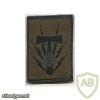 FRANCE Communications and command support brigade patch img44216
