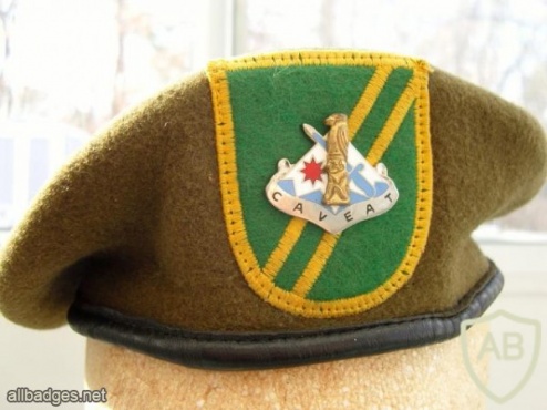 172nd Infantry Brigade Beret (old type) img44244