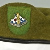 172nd Infantry Brigade Beret (old type) img44246