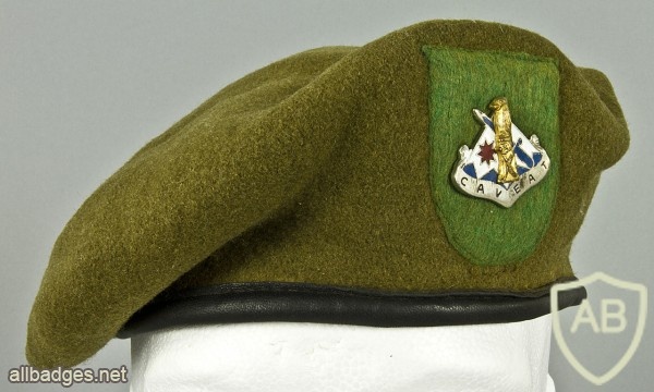172nd Infantry Brigade Beret (old type) img44245