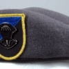 Combat Weather Team (grey beret)
