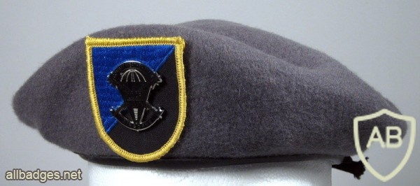 Combat Weather Team (grey beret) img44282