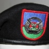 Tactical air command black beret img44273
