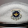 USAF Ceremonial guards white beret