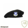 Security Force (dark blue beret) img44278