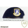 Security Force (dark blue beret) img44280