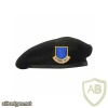 Security Force (dark blue beret) img44279