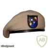Rainger beret, new type