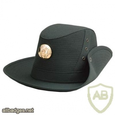 U.S. Army Drill Instructor's Hat img44295