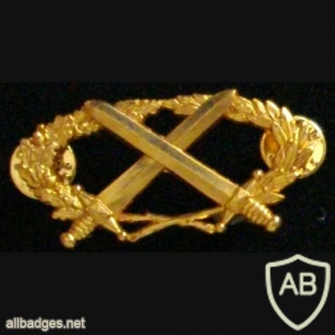 Professional Military Patent badge 1st Level (BMP1) img44389