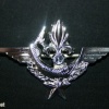French Foreign Legion 1st Parachute Regiment Combat Diver badge img44370