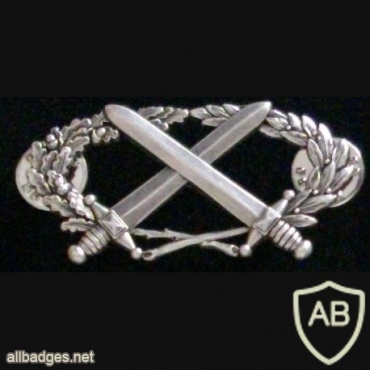 Professional Military Patent badge 1st Level (BMP1) img44387