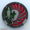French Foreign Legion 2nd Parachute Regiment, 4th COMPANY pocket badge