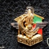 French Foreign Legion 6th Engineer Regiment DINOPS pocket badge