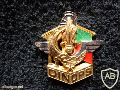 French Foreign Legion 6th Engineer Regiment DINOPS pocket badge img44373