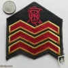 Irish Army Company Quartermaster Sergeant sleeve rank