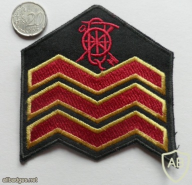 Irish Army Company Quartermaster Sergeant sleeve rank img44545