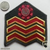 Irish Army Company Sergeant sleeve rank