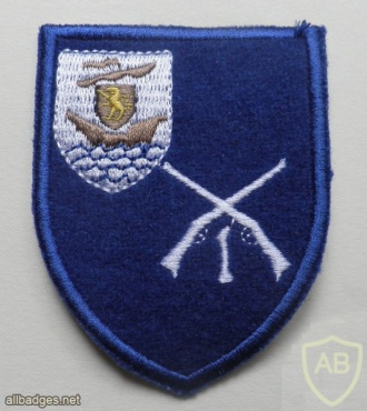 Ireland Army 1st Infantry Battalion patch img44569