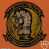 319th Special Operations Squadron patch img44616