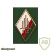 French Foreign Legion 4th Regiment Training Company breast badge