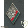 French Foreign Legion 4th Infantry Regiment 5th Battalion pocket badge