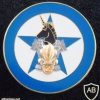 French Foreign Legion Operation Licorne 2nd Engineer Regiment badge img44684