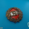 Austrian Sports Badge, Advanced level, bronze