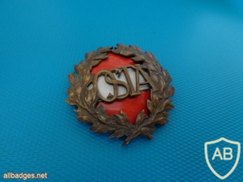 Austrian Sports Badge, Advanced level, bronze img44721