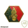 French Foreign Legion 3rd Infantry Regiment Command and Service Company (CCS) pocket badge img44728