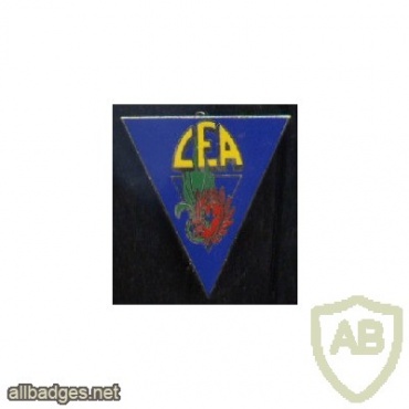 French Foreign Legion 2nd Parachute Regiment Support Company pocket badge img44758
