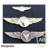USMC Unmanned Aircraft System badge. Enlisted