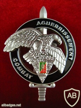French Foreign Legion 2nd Parachute Regiment AGUERRISSEMENT COMBAT qualification  badge img44767