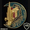 French Foreign Legion 6th Engineer Regiment 2nd Company badge, Operation Daguet (Gulf war)
